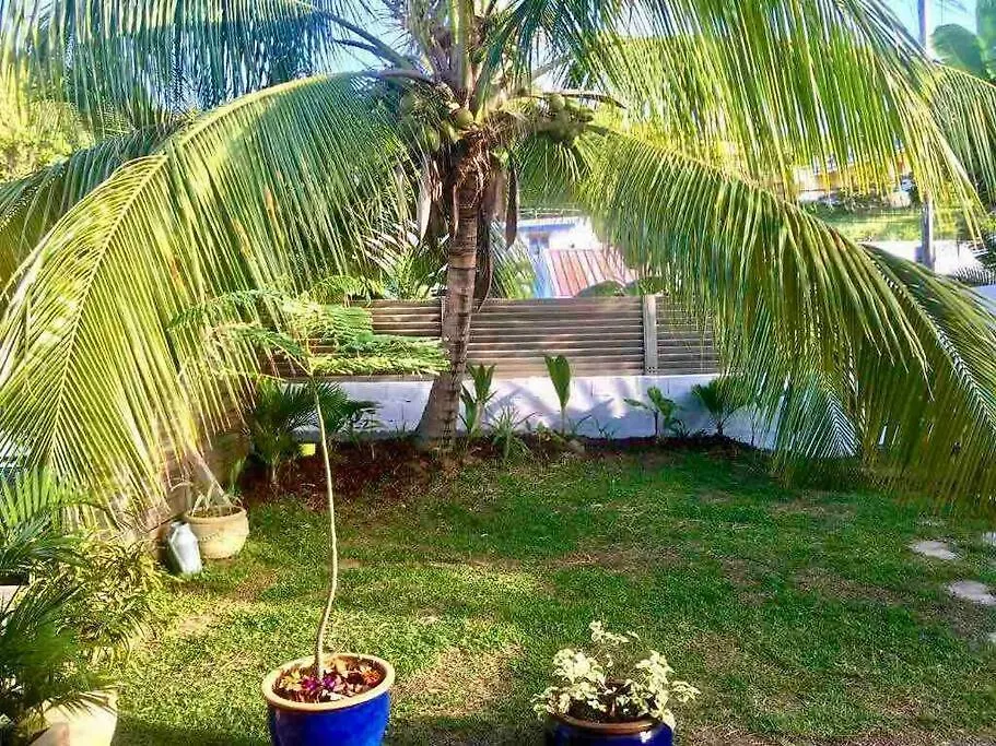 Apartment Ti Flamboyant T2 Tartane 80 M De La Plage La Trinite Martinique