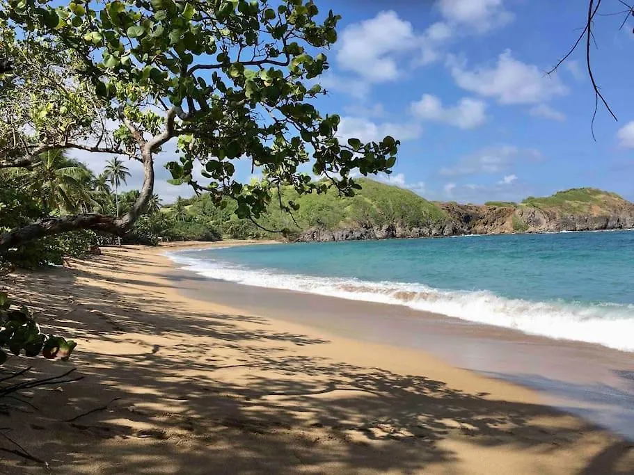 Ti Flamboyant T2 Tartane 80 M De La Plage La Trinite Martinique